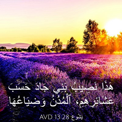Picture 03 - يَشُوع 13:28 AVD - هَذَا نَصِيبُ بَنِي جَادَ - Bible Verse Picture