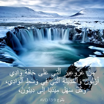 Picture 03 - يَشُوع 13:9 AVD - مِنْ عَرُوعِيرَ ٱلَّتِي - Bible Verse Picture