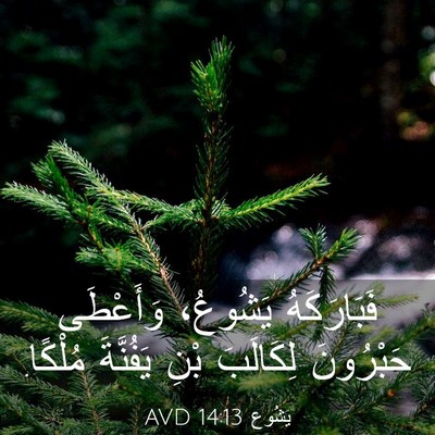 Picture 03 - يَشُوع 14:13 AVD - فَبَارَكَهُ يَشُوعُ، - Bible Verse Picture