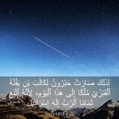 Picture 03 - يَشُوع 14:14 AVD - لِذَلِكَ صَارَتْ - Bible Verse Picture