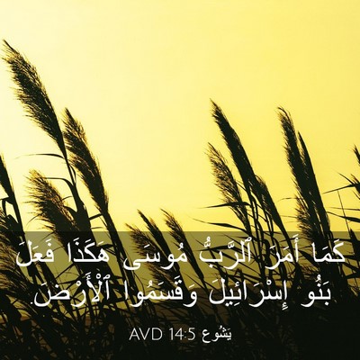 Picture 03 - يَشُوع 14:5 AVD - كَمَا أَمَرَ ٱلرَّبُّ - Bible Verse Picture