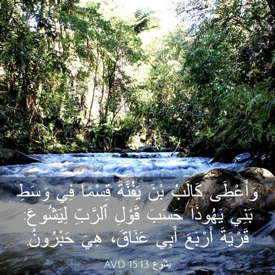 Picture 03 - يَشُوع 15:13 AVD - وَأَعْطَى كَالَبُ بْنَ - Bible Verse Picture