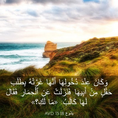 Picture 03 - يَشُوع 15:18 AVD - وَكَانَ عِنْدَ دُخُولِهَا - Bible Verse Picture