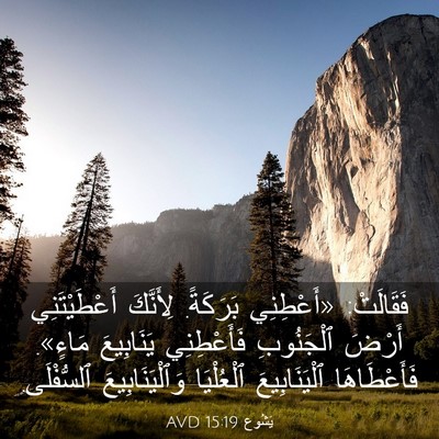 Picture 03 - يَشُوع 15:19 AVD - فَقَالَتْ: «أَعْطِنِي - Bible Verse Picture