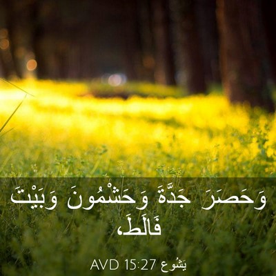 Picture 03 - يَشُوع 15:27 AVD - وَحَصَرَ جَدَّةَ - Bible Verse Picture