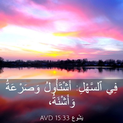 Picture 03 - يَشُوع 15:33 AVD - فِي ٱلسَّهْلِ: أَشْتَأُولُ - Bible Verse Picture