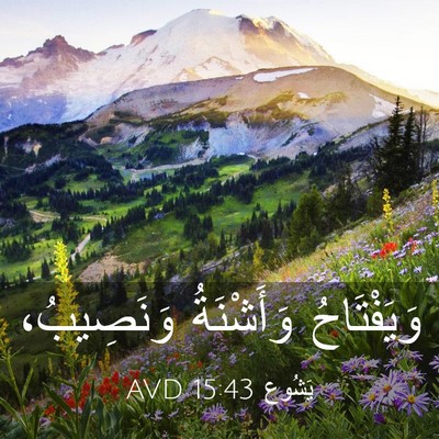 Picture 03 - يَشُوع 15:43 AVD - وَيَفْتَاحُ وَأَشْنَةُ - Bible Verse Picture