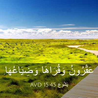Picture 03 - يَشُوع 15:45 AVD - عَقْرُونُ وَقُرَاهَا - Bible Verse Picture