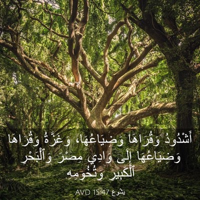 Picture 03 - يَشُوع 15:47 AVD - أَشْدُودُ وَقُرَاهَا - Bible Verse Picture