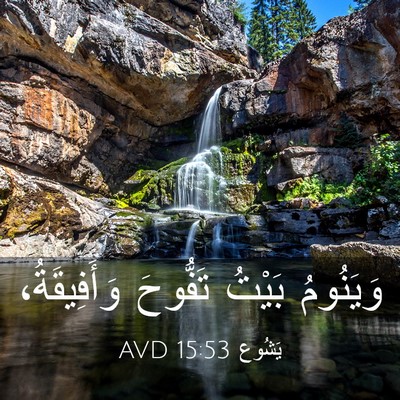 Picture 03 - يَشُوع 15:53 AVD - وَيَنُومُ بَيْتُ تَفُّوحَ - Bible Verse Picture