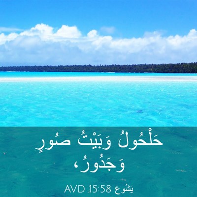 Picture 03 - يَشُوع 15:58 AVD - حَلْحُولُ وَبَيْتُ صُورٍ - Bible Verse Picture