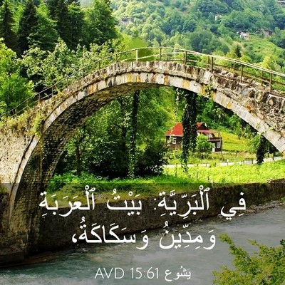 Picture 03 - يَشُوع 15:61 AVD - فِي ٱلْبَرِّيَّةِ: بَيْتُ - Bible Verse Picture