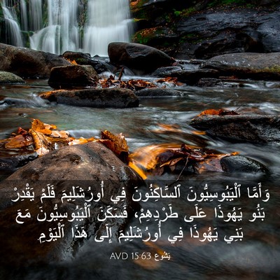 Picture 03 - يَشُوع 15:63 AVD - وَأَمَّا ٱلْيَبُوسِيُّونَ - Bible Verse Picture