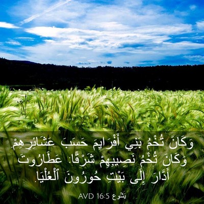 Picture 03 - يَشُوع 16:5 AVD - وَكَانَ تُخْمُ بَنِي - Bible Verse Picture