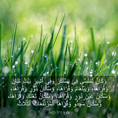 Picture 03 - يَشُوع 17:11 AVD - وَكَانَ لِمَنَسَّى فِي - Bible Verse Picture