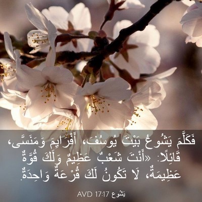 Picture 03 - يَشُوع 17:17 AVD - فَكَلَّمَ يَشُوعُ بَيْتَ - Bible Verse Picture