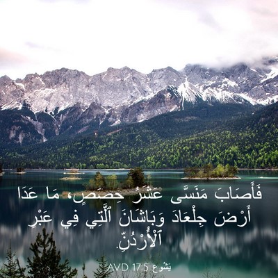 Picture 03 - يَشُوع 17:5 AVD - فَأَصَابَ مَنَسَّى عَشَرُ - Bible Verse Picture