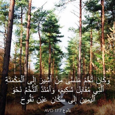 Picture 03 - يَشُوع 17:7 AVD - وَكَانَ تُخْمُ مَنَسَّى - Bible Verse Picture