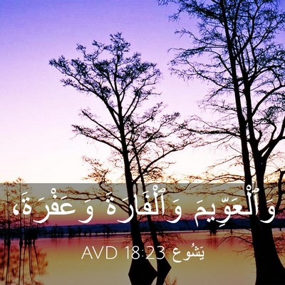 Picture 03 - يَشُوع 18:23 AVD - وَٱلْعَوِّيمَ - Bible Verse Picture