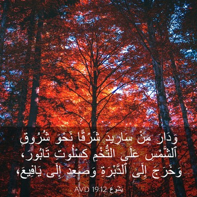 Picture 03 - يَشُوع 19:12 AVD - وَدَارَ مِنْ سَارِيدَ - Bible Verse Picture