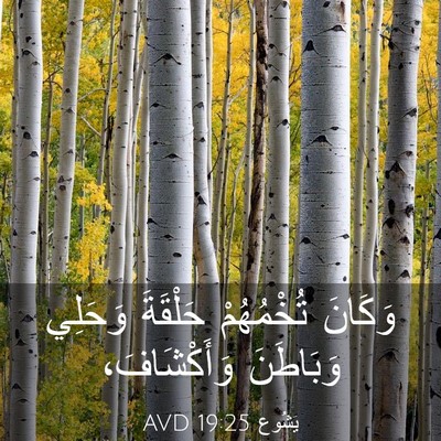Picture 03 - يَشُوع 19:25 AVD - وَكَانَ تُخْمُهُمْ - Bible Verse Picture