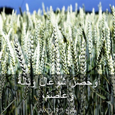 Picture 03 - يَشُوع 19:3 AVD - وَحَصَرُ شُوعَالَ - Bible Verse Picture