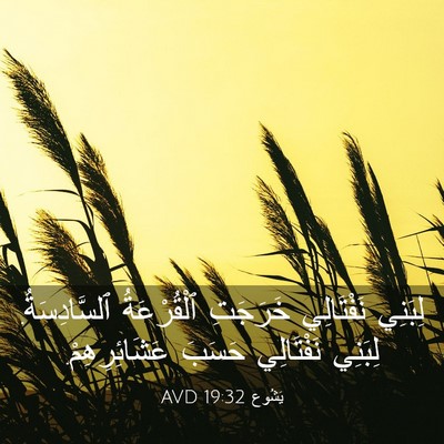 Picture 03 - يَشُوع 19:32 AVD - لِبَنِي نَفْتَالِي - Bible Verse Picture