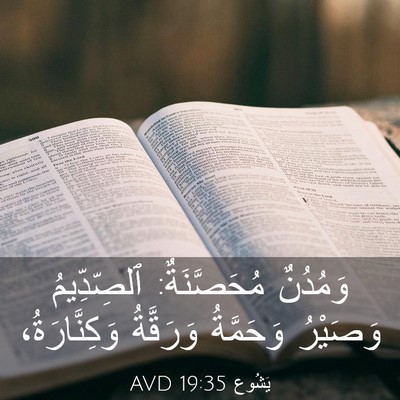 Picture 03 - يَشُوع 19:35 AVD - وَمُدُنٌ مُحَصَّنَةٌ: - Bible Verse Picture