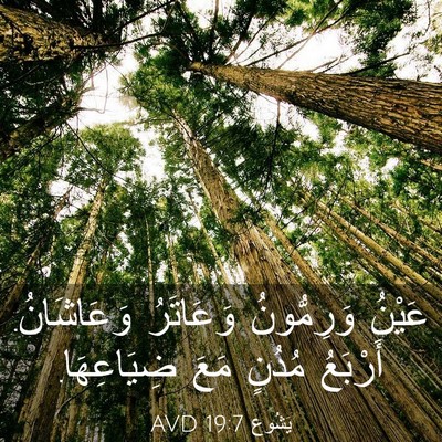 Picture 03 - يَشُوع 19:7 AVD - عَيْنُ وَرِمُّونُ - Bible Verse Picture
