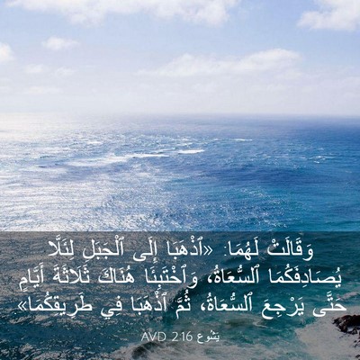 Picture 03 - يَشُوع 2:16 AVD - وَقَالَتْ لَهُمَا: - Bible Verse Picture