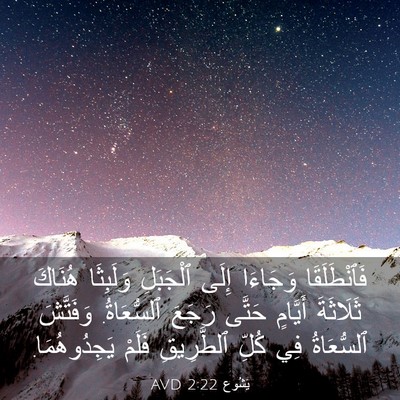 Picture 03 - يَشُوع 2:22 AVD - فَٱنْطَلَقَا وَجَاءَا - Bible Verse Picture
