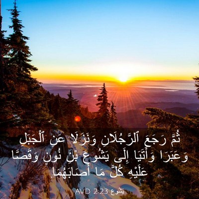 Picture 03 - يَشُوع 2:23 AVD - ثُمَّ رَجَعَ ٱلرَّجُلَانِ - Bible Verse Picture