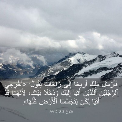 Picture 03 - يَشُوع 2:3 AVD - فَأَرْسَلَ مَلِكُ - Bible Verse Picture