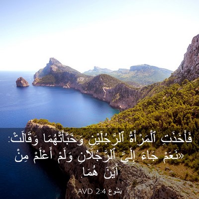 Picture 03 - يَشُوع 2:4 AVD - فَأَخَذَتِ ٱلْمَرْأَةُ - Bible Verse Picture