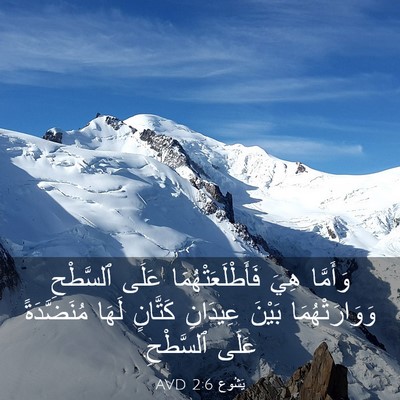 Picture 03 - يَشُوع 2:6 AVD - وَأَمَّا هِيَ - Bible Verse Picture