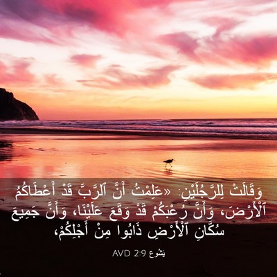Picture 03 - يَشُوع 2:9 AVD - وَقَالَتْ لِلرَّجُلَيْنِ: - Bible Verse Picture