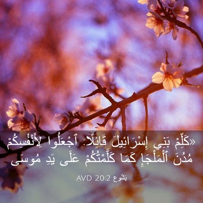 Picture 03 - يَشُوع 20:2 AVD - «كَلِّمْ بَنِي - Bible Verse Picture
