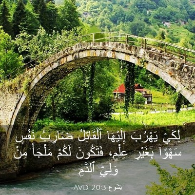 Picture 03 - يَشُوع 20:3 AVD - لِكَيْ يَهْرُبَ إِلَيْهَا - Bible Verse Picture