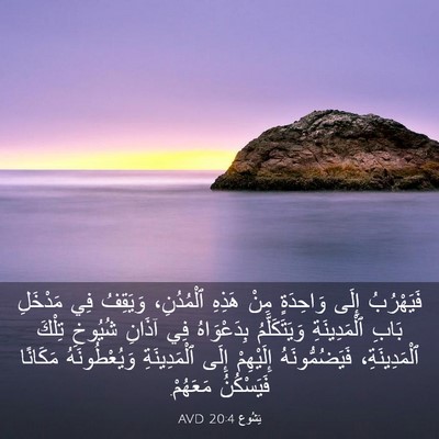 Picture 03 - يَشُوع 20:4 AVD - فَيَهْرُبُ إِلَى - Bible Verse Picture