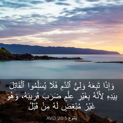 Picture 03 - يَشُوع 20:5 AVD - وَإِذَا تَبِعَهُ وَلِيُّ - Bible Verse Picture