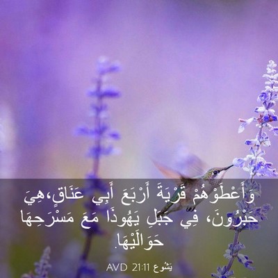 Picture 03 - يَشُوع 21:11 AVD - وَأَعْطَوْهُمْ قَرْيَةَ - Bible Verse Picture