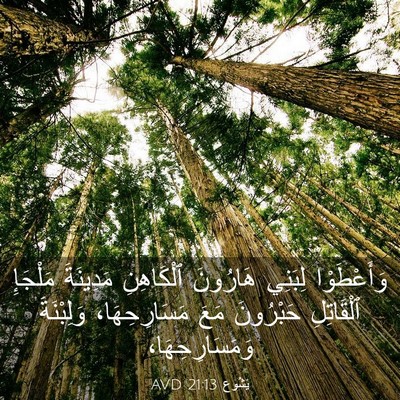Picture 03 - يَشُوع 21:13 AVD - وَأَعْطَوْا لِبَنِي - Bible Verse Picture