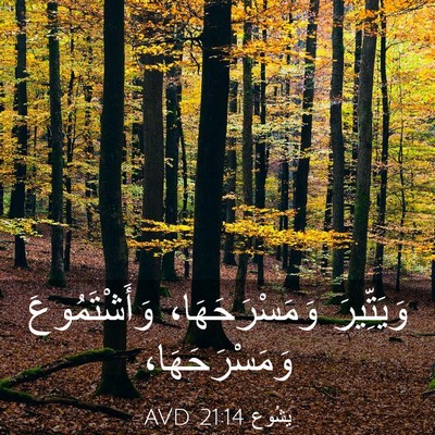 Picture 03 - يَشُوع 21:14 AVD - وَيَتِّيرَ وَمَسْرَحَهَا، - Bible Verse Picture