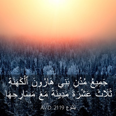 Picture 03 - يَشُوع 21:19 AVD - جَمِيعُ مُدُنِ بَنِي - Bible Verse Picture