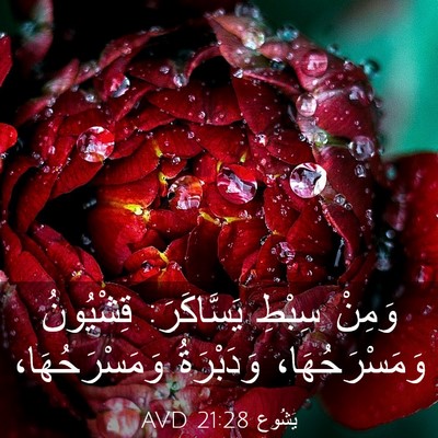 Picture 03 - يَشُوع 21:28 AVD - وَمِنْ سِبْطِ يَسَّاكَرَ: - Bible Verse Picture
