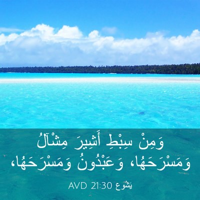 Picture 03 - يَشُوع 21:30 AVD - وَمِنْ سِبْطِ أَشِيرَ - Bible Verse Picture