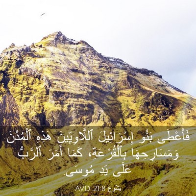 Picture 03 - يَشُوع 21:8 AVD - فَأَعْطَى بَنُو - Bible Verse Picture