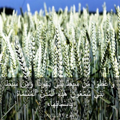 Picture 03 - يَشُوع 21:9 AVD - وَأَعْطَوْا مِنْ سِبْطِ - Bible Verse Picture