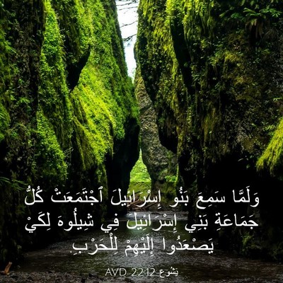 Picture 03 - يَشُوع 22:12 AVD - وَلَمَّا سَمِعَ بَنُو - Bible Verse Picture