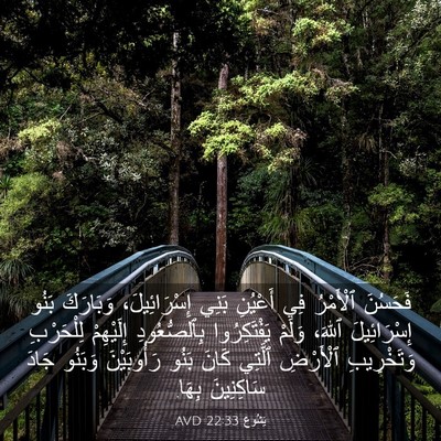 Picture 03 - يَشُوع 22:33 AVD - فَحَسُنَ ٱلْأَمْرُ فِي - Bible Verse Picture